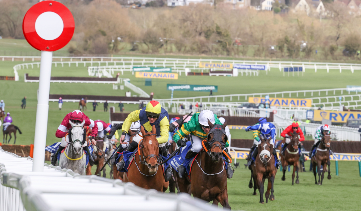 Cheltenham 